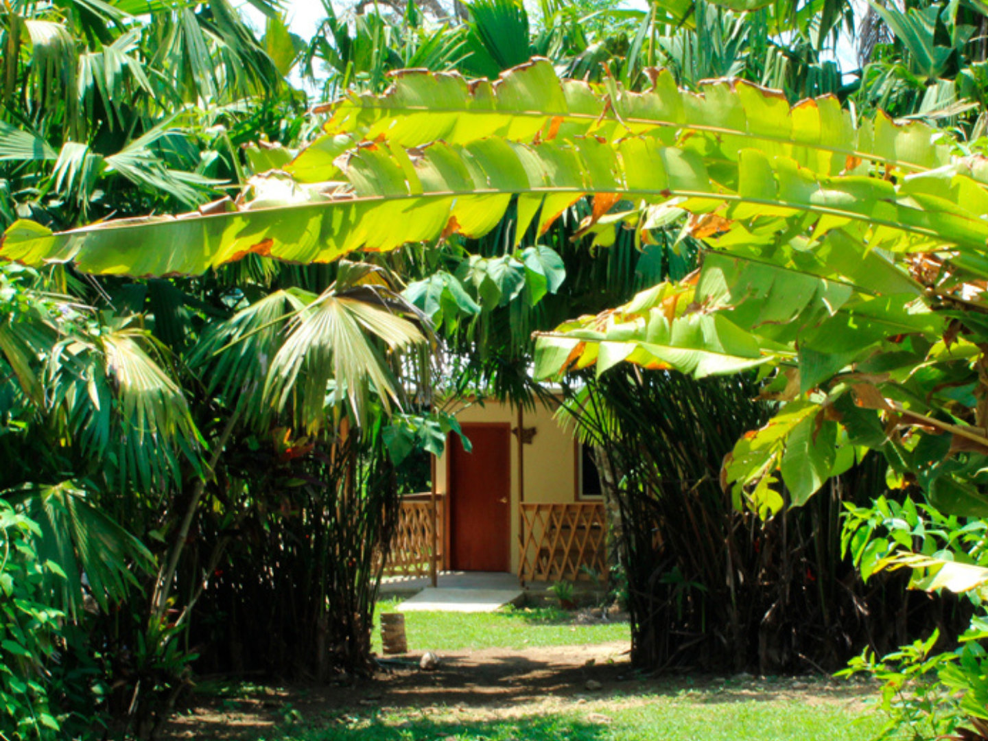 cabañas selva lacandona retiro