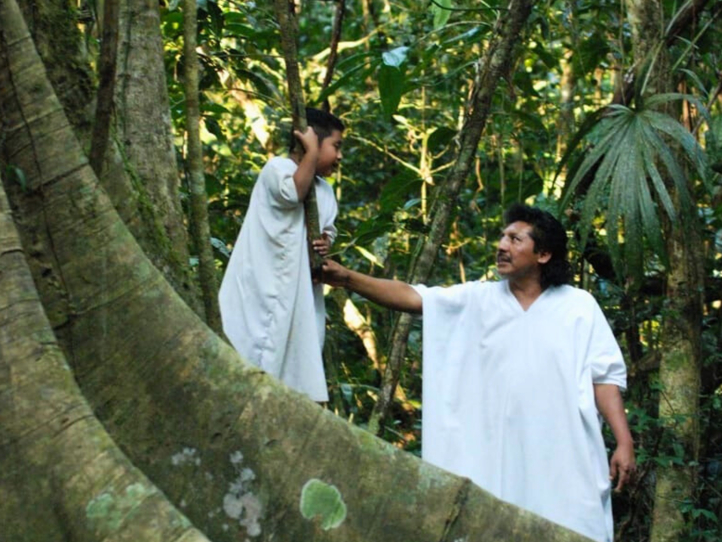 experiencia en selva lacandona chiapas